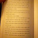 나야 디노