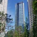 스타시티 이미지