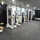 머슬원핏 월곶점 이미지