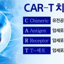 혈액암 그리고 뇌종양, 위암 CAR-T(키메릭 항원 수용체 T세포) 치료 이미지