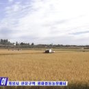 판문농장 이미지