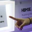 (주)바이오시스템아쿠아(롯데마트사상점) | [26년 2월 10일 (화)] 오늘의 My 시황