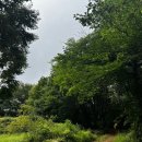 나봄야영장 이미지