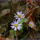 중도과학 이미지