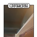 캐슬홀덤