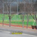 흥천체육공원 축구장 네이버블로그