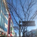 군산시-00018 이미지