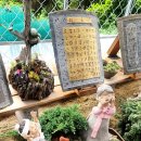 바위솔민박 이미지