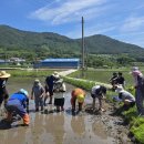 계곡초등학교 이미지