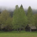 오프라이프(off life) 이미지