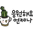 쌍문경희태권도 이미지