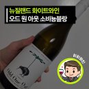오드원아웃(ODD ONE OUT) | 오드 원 아웃 소비뇽블랑 - 키위맛이 나는 소비뇽블랑? ( odd one out sauvignon blanc )