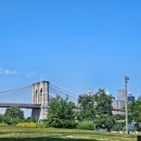 new 우리집에 걸고싶은 나의 그림 | New York🗽 = FREEDOM🇺🇸 (1)