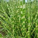 선형2농장 이미지