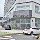 미라클다인 이미지