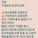 🏠인구감소 곡선 완만해진 안동시... 🆘️인구 감소의 주범 길'고양이 입니다. 이미지