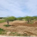 부산은행 을숙도 이미지