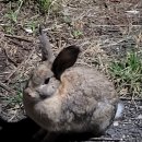 마소물로 이미지