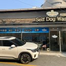 마이리틀멍 | 부산강아지위탁목욕 착한금액의 마이리틀프렌드