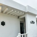 서울 근교 애견 동반 카페 찾으신다면 [노만주의]