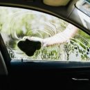 형제카세차장 이미지