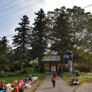 팔영산자연휴양림 이미지