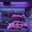 원만쥬벌판 이미지