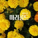 아이케어닥터