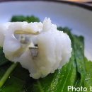 맛기행사계절 - 서초구 서초대로42길 92 | 맛기행사계절