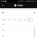 도지(DOGE)