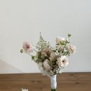 핑크파크장