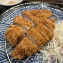 꼬숑 이미지