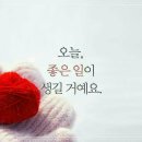 솔로몬모터스 네이버블로그