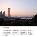 노닥노닥 이미지