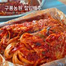 농산물모아farm청과 | 구룡농원 고랭지절임배추 20kg로 만든 김장김치 순삭한 후기