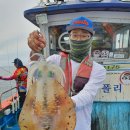 스테이인주