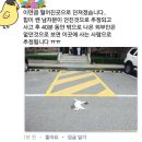 경기도 남양주시에서 길고양이를 폭행 후 창밖으로 던져 사망하게 한 일이 발생했긔(고양이 시체사진 있긔) 이미지