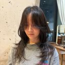 하울 바이 아이디헤어