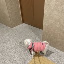 푸식스디자인