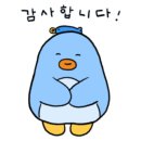 자미유정란 이미지