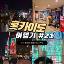 비로소겨울하늘 | 홋카이도 삿포로 대관람차 노리아 관람차 탑승후기와 스스키노 니카상 야경 구경하기