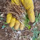 노루땅농장 이미지