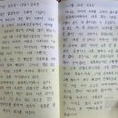 성경세탁