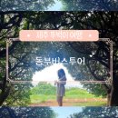 동문 주차장 약국 | 제주:: 동부 버스투어 핫플트립 이용 후기 뚜벅이 혼여행 제주 여행코스 추천 🍊🌴