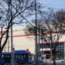 코스트코코리아 대구점