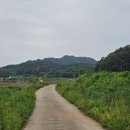 봉서3리 네이버블로그