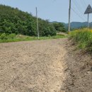 차리농장 이미지