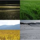 농가월령 이미지