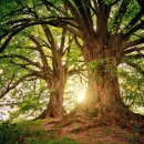 금천포차 이미지