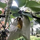 기산1리마을회관 이미지